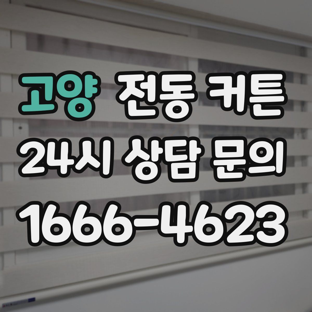 고양 전동 커튼