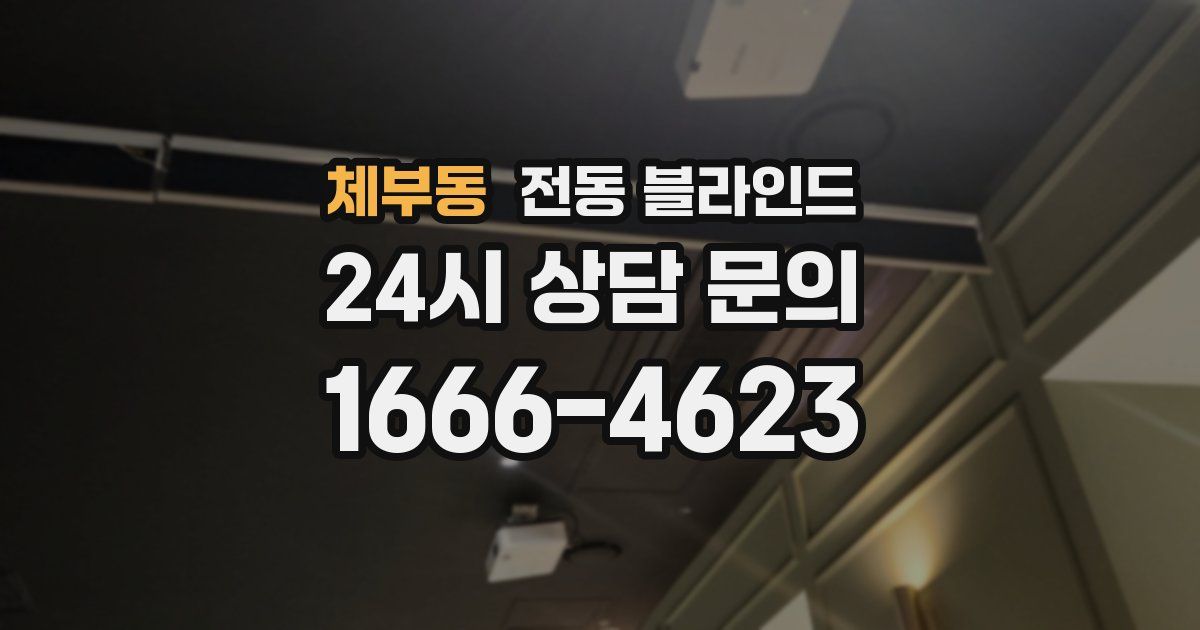 체부동 전동 블라인드