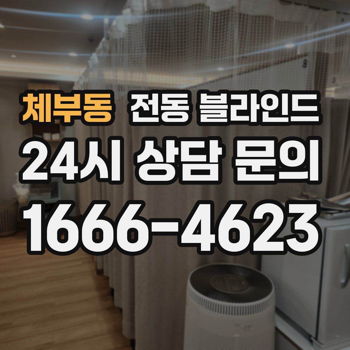 체부동 전동 블라인드
