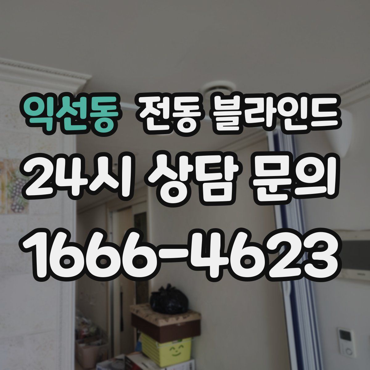 익선동 전동 블라인드