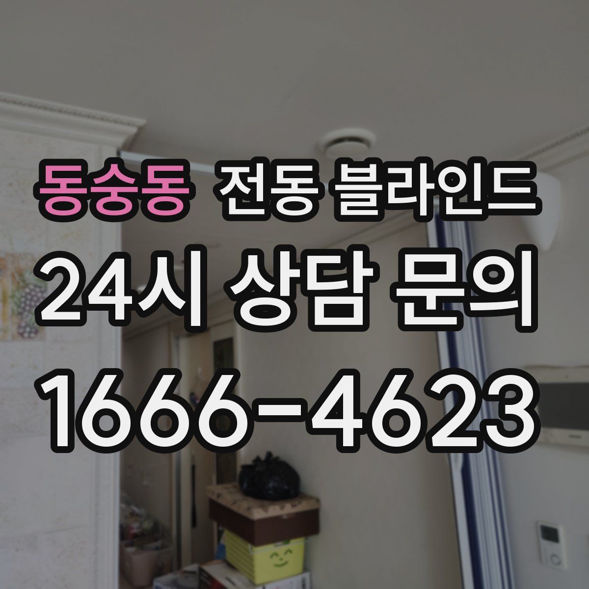 동숭동 전동 블라인드