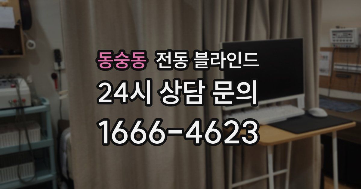 동숭동 전동 블라인드