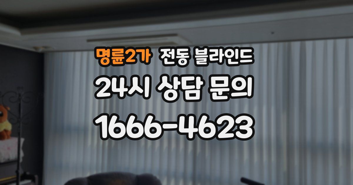 명륜2가 전동 블라인드
