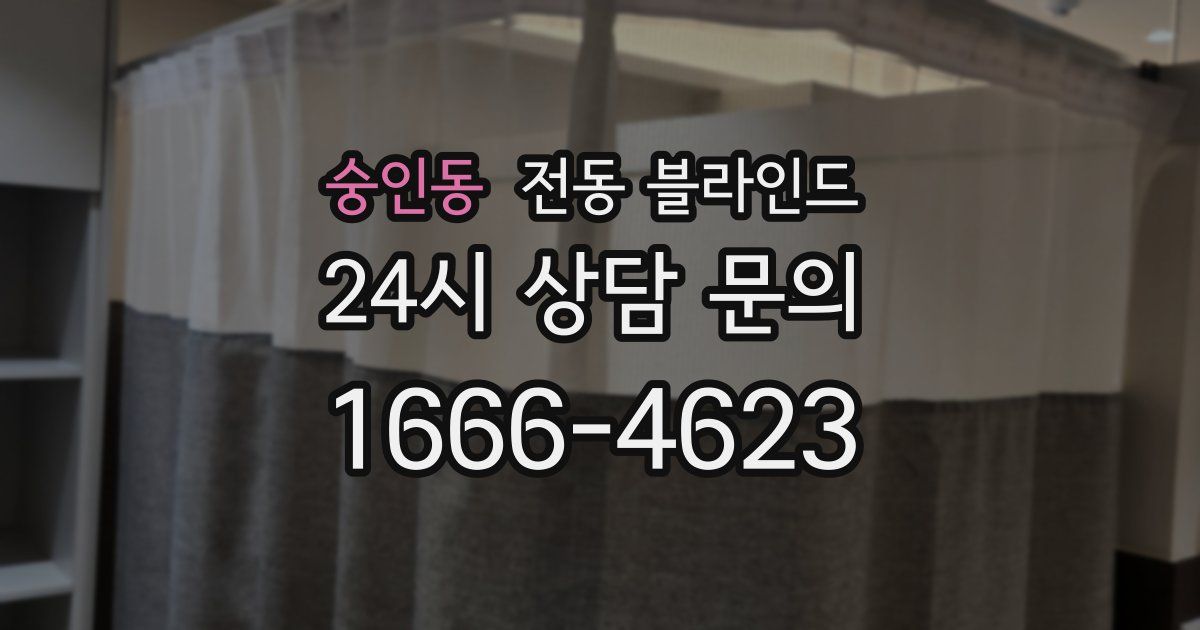 숭인동 전동 블라인드