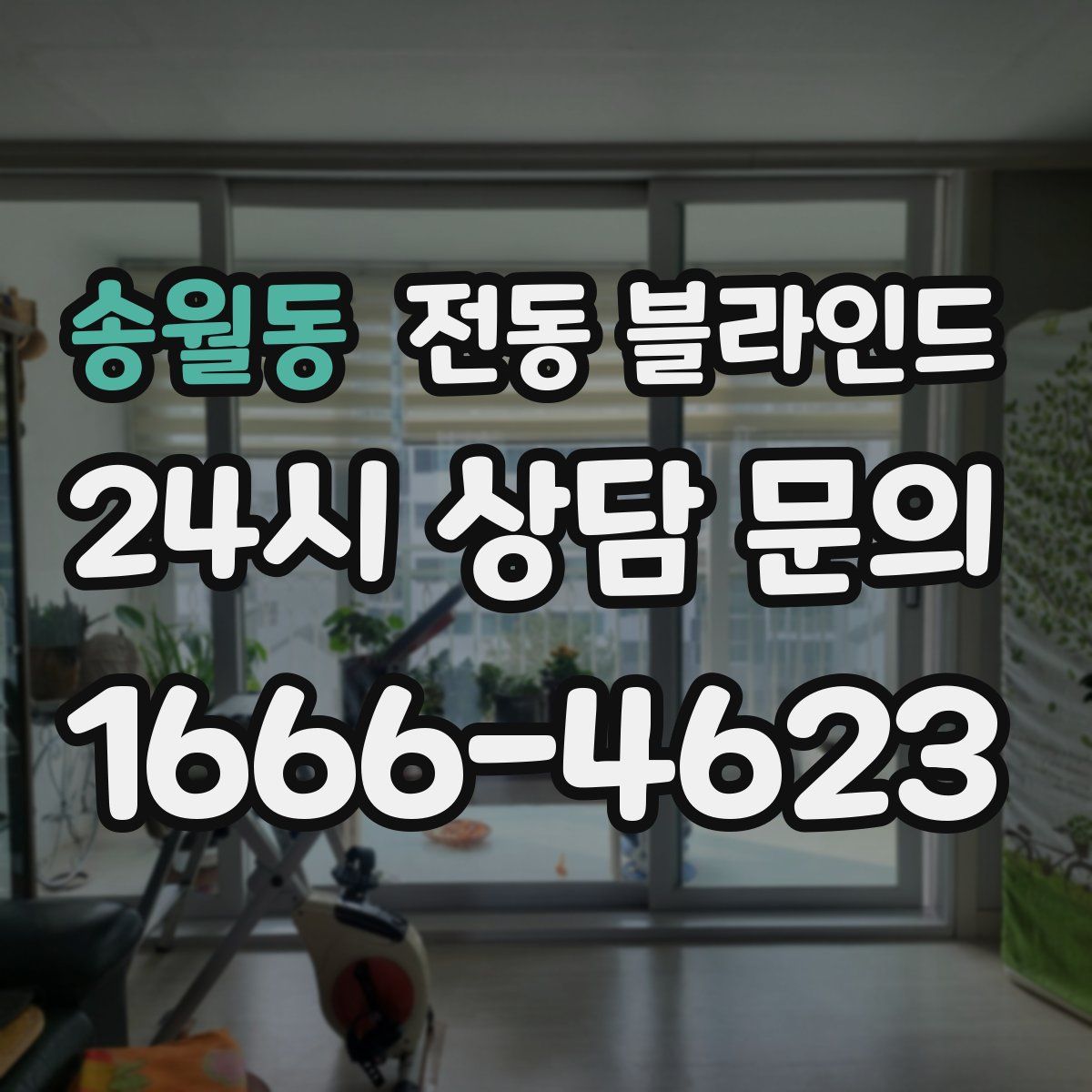 송월동 전동 블라인드