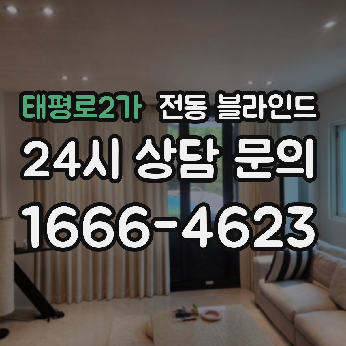 태평로2가 전동 블라인드