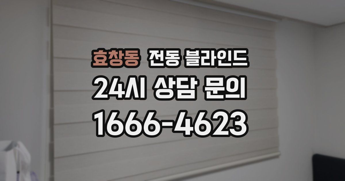효창동 전동 블라인드