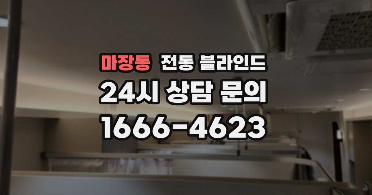마장동 전동 블라인드