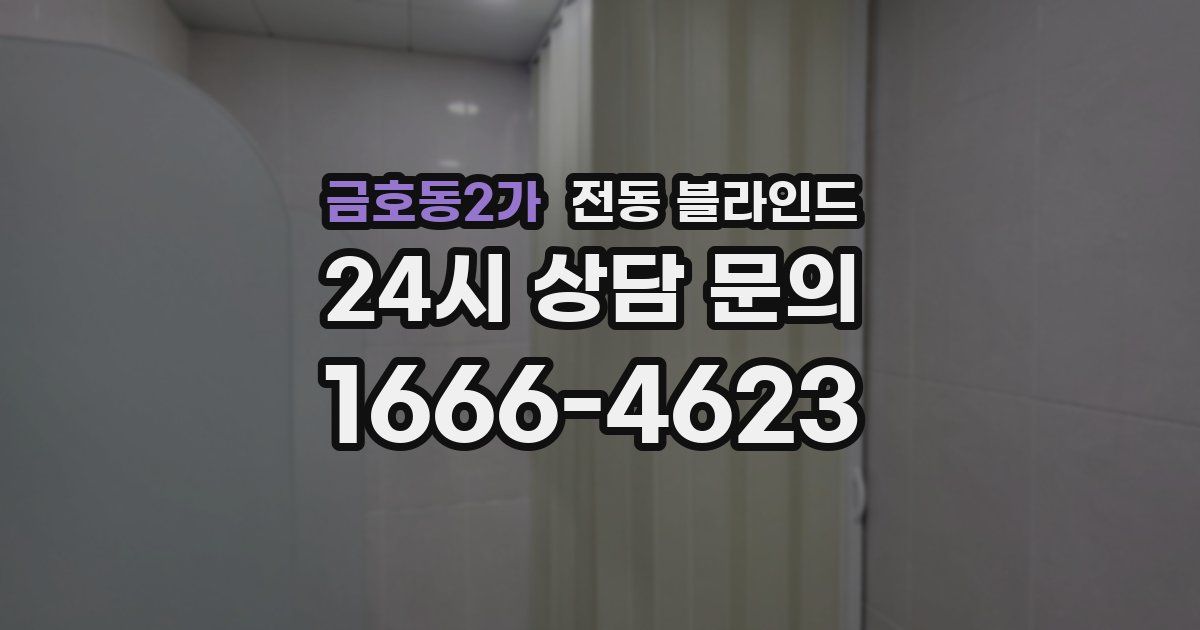금호동2가 전동 블라인드