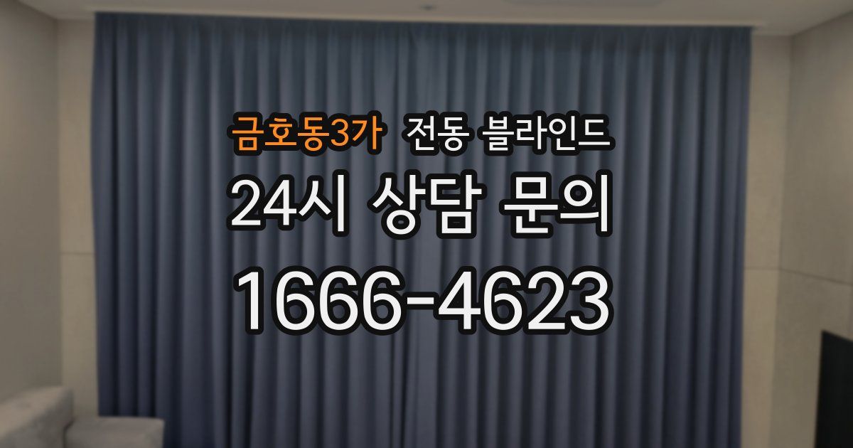 금호동3가 전동 블라인드