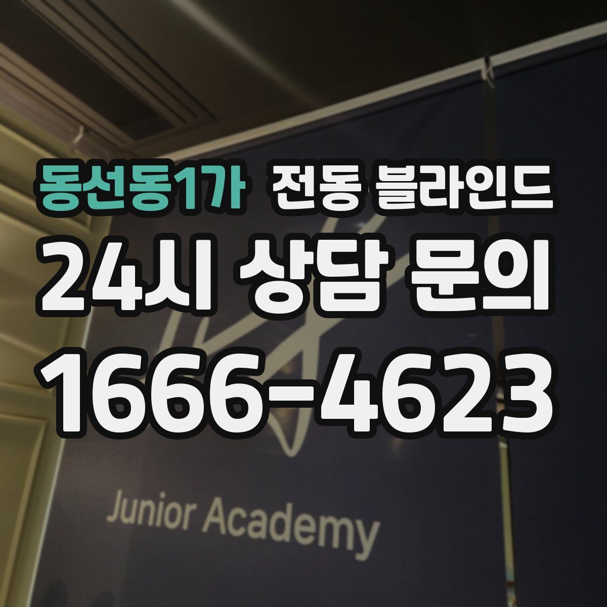 동선동1가 전동 블라인드