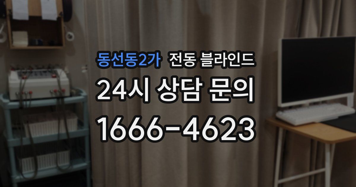 동선동2가 전동 블라인드