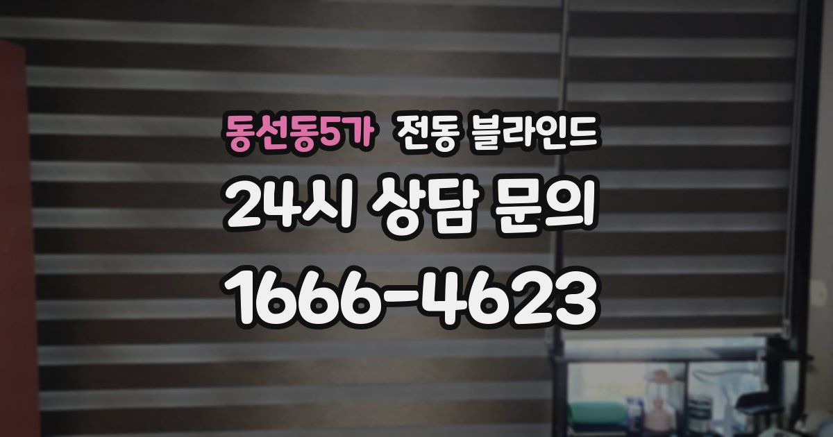 동선동5가 전동 블라인드