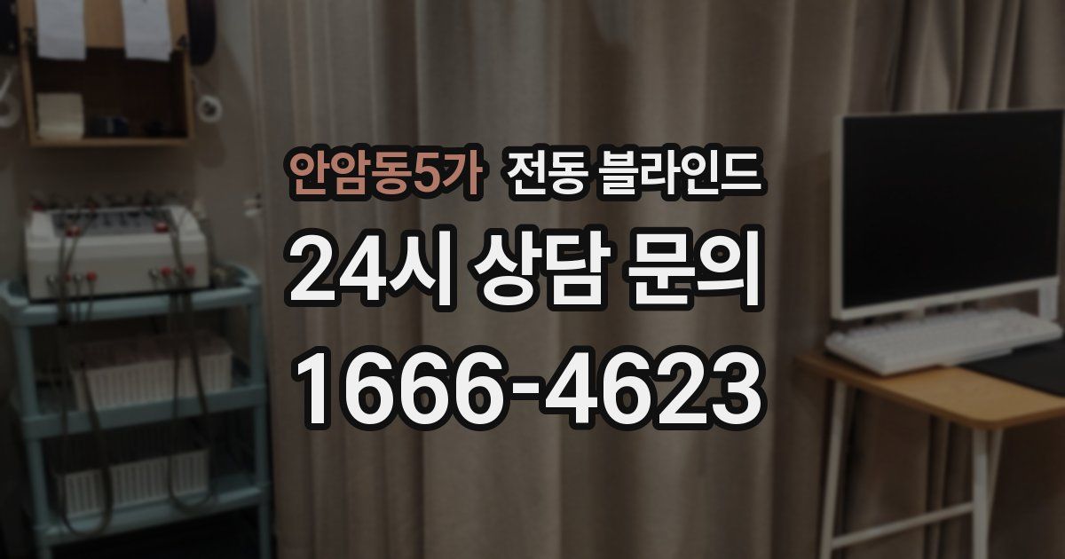 안암동5가 전동 블라인드