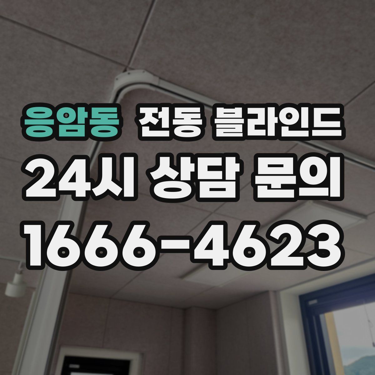 응암동 전동 블라인드