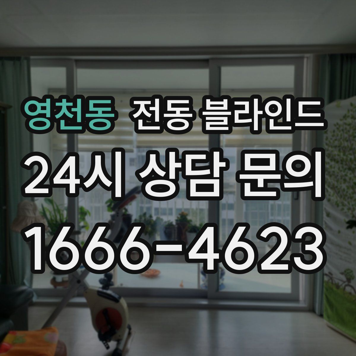영천동 전동 블라인드