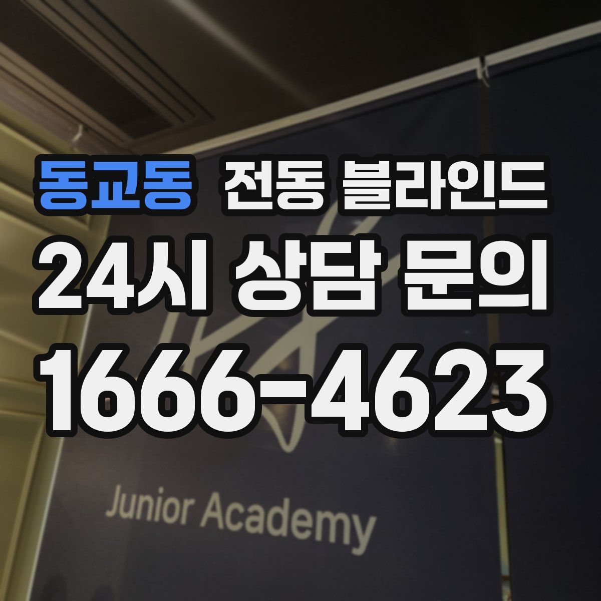 동교동 전동 블라인드