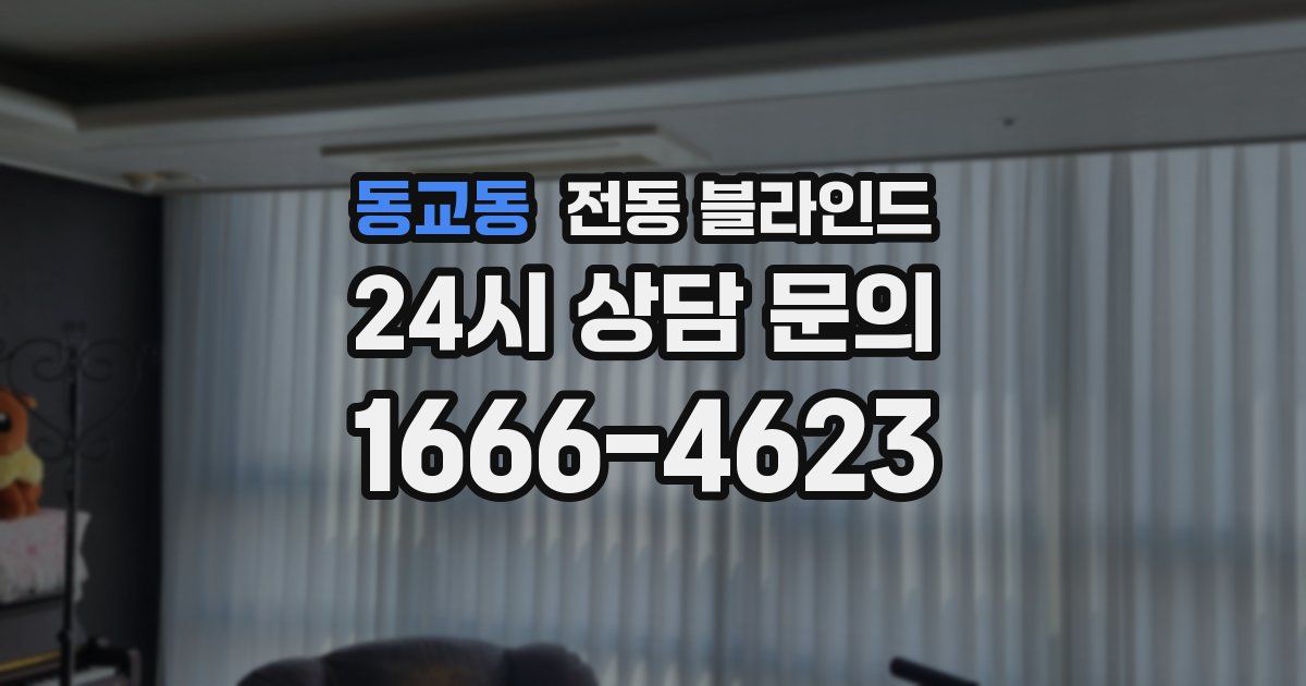 동교동 전동 블라인드