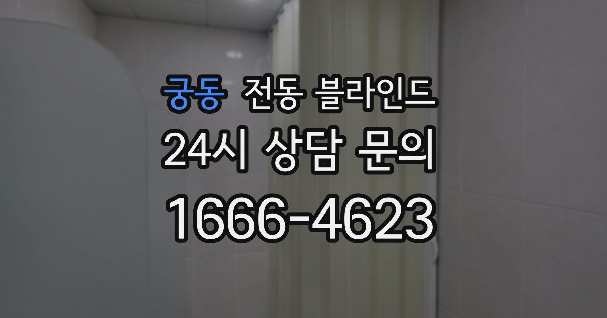 궁동 전동 블라인드