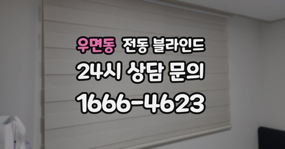 우면동 전동 블라인드