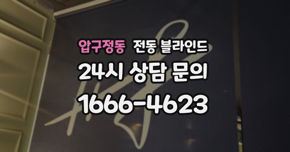 압구정동 전동 블라인드