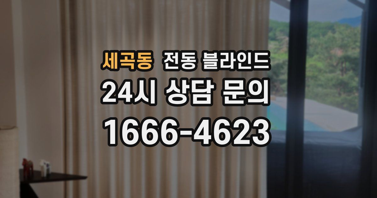 세곡동 전동 블라인드