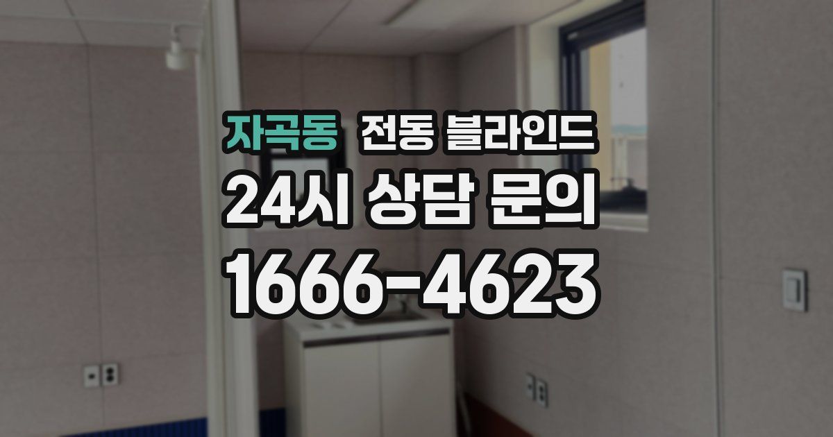 자곡동 전동 블라인드
