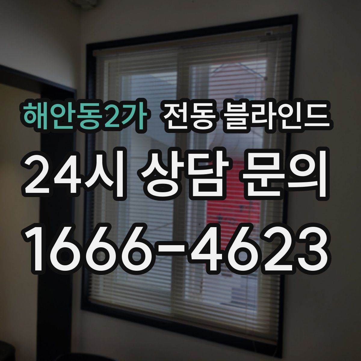 해안동2가 전동 블라인드
