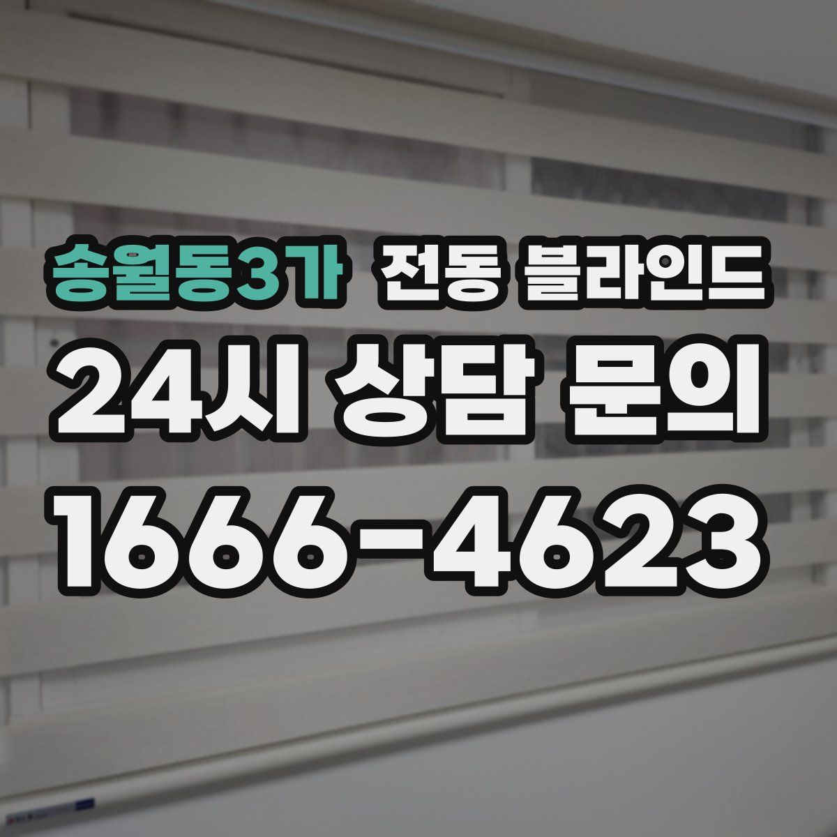 송월동3가 전동 블라인드