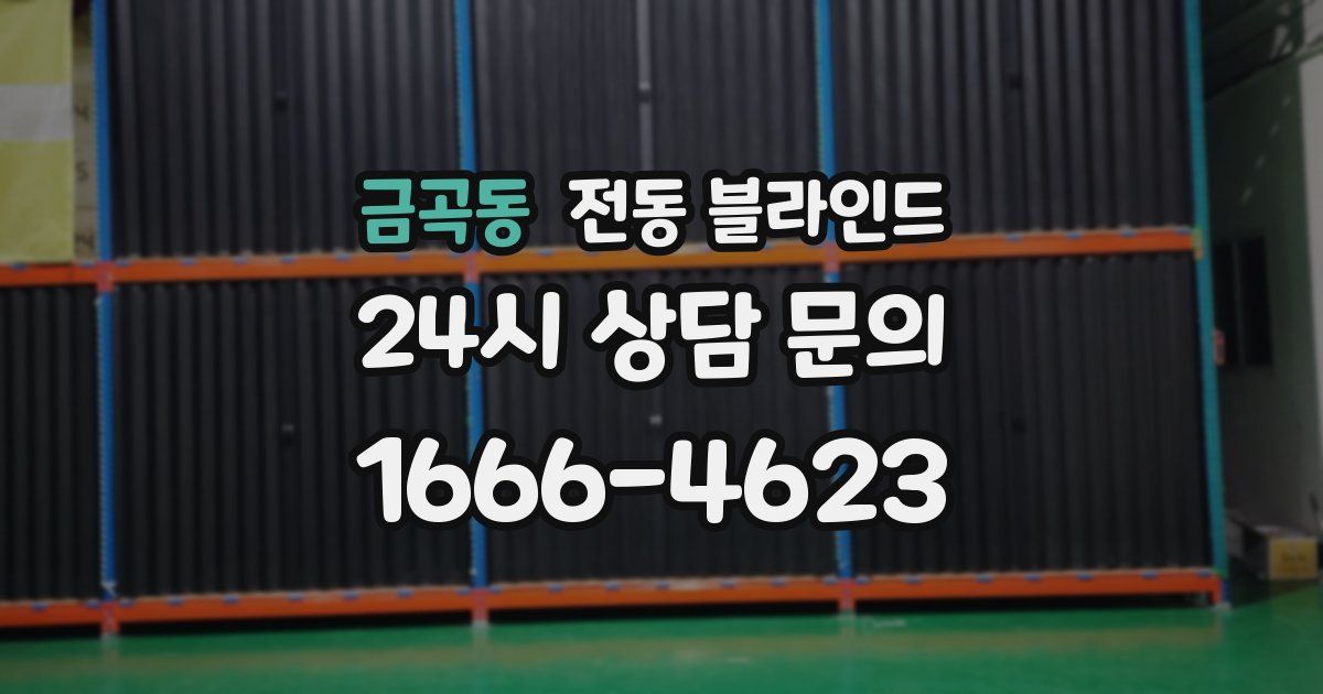 금곡동 전동 블라인드