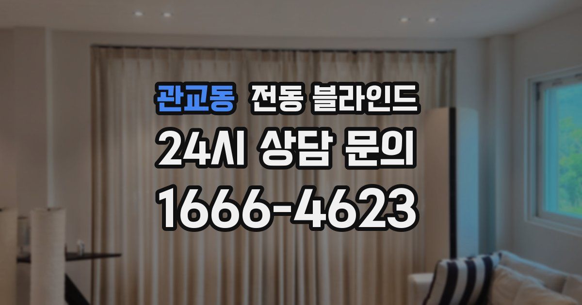 관교동 전동 블라인드