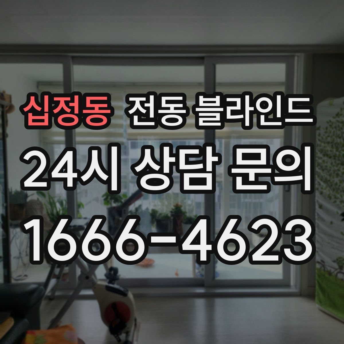 십정동 전동 블라인드