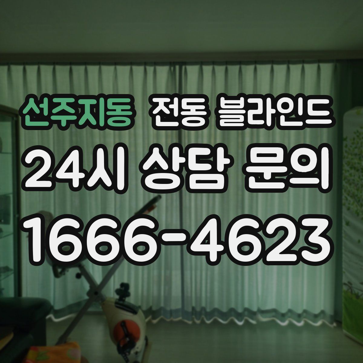 선주지동 전동 블라인드