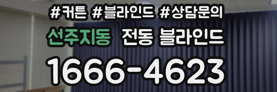선주지동 전동 블라인드