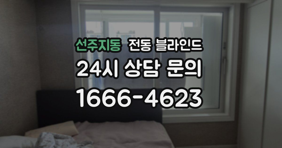 선주지동 전동 블라인드