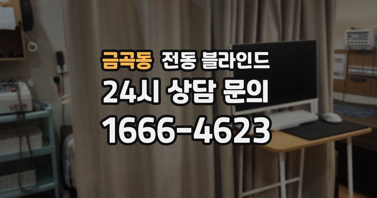 금곡동 전동 블라인드