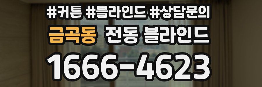 금곡동 전동 블라인드
