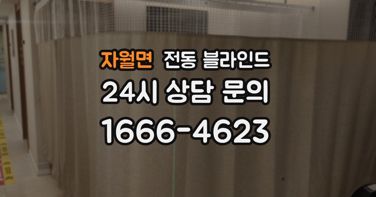 자월면 전동 블라인드