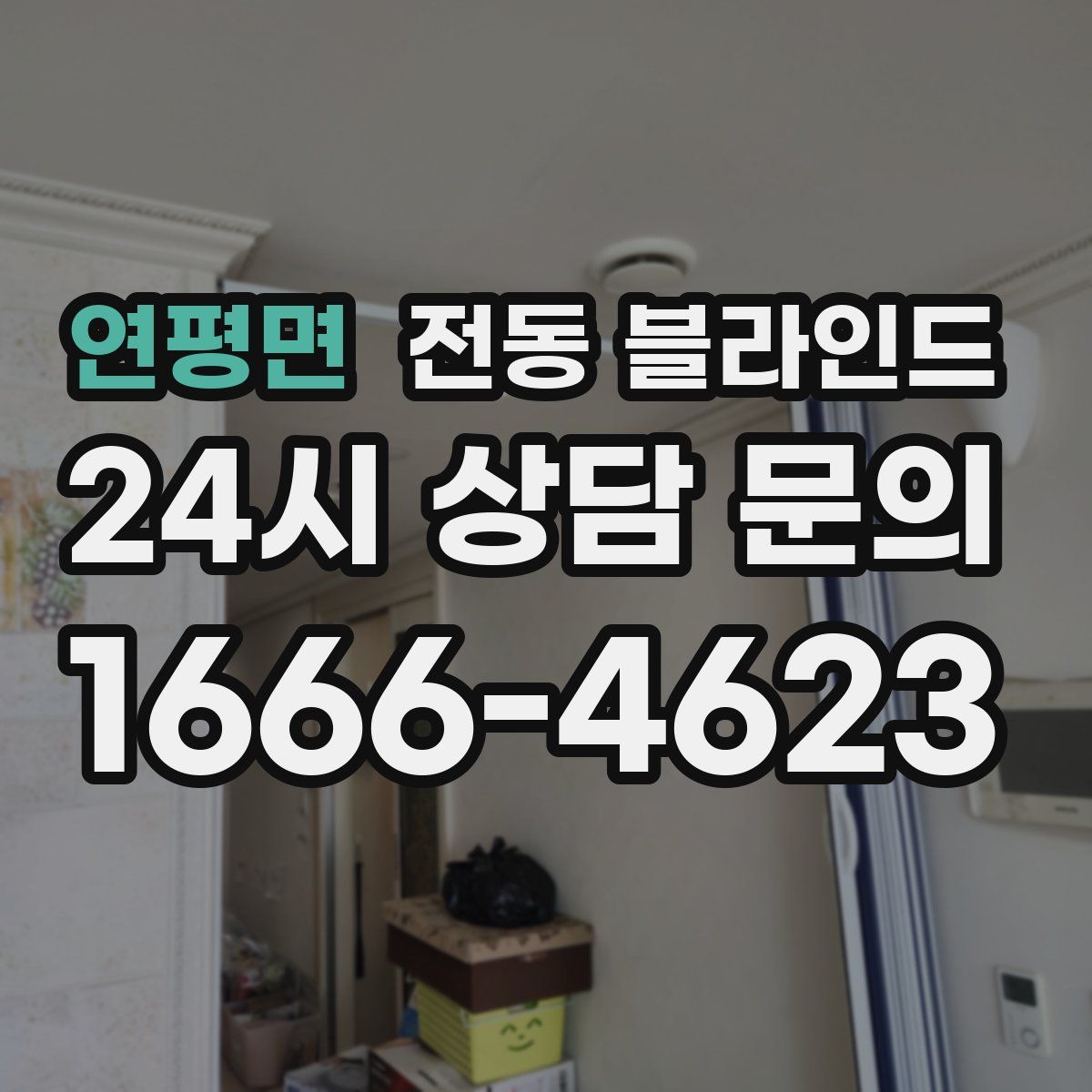 연평면 전동 블라인드