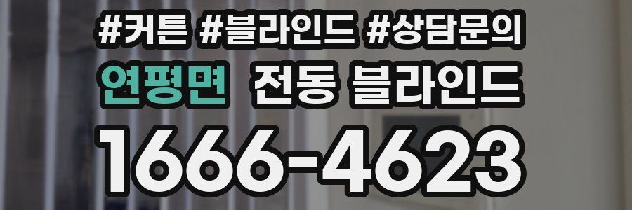 연평면 전동 블라인드