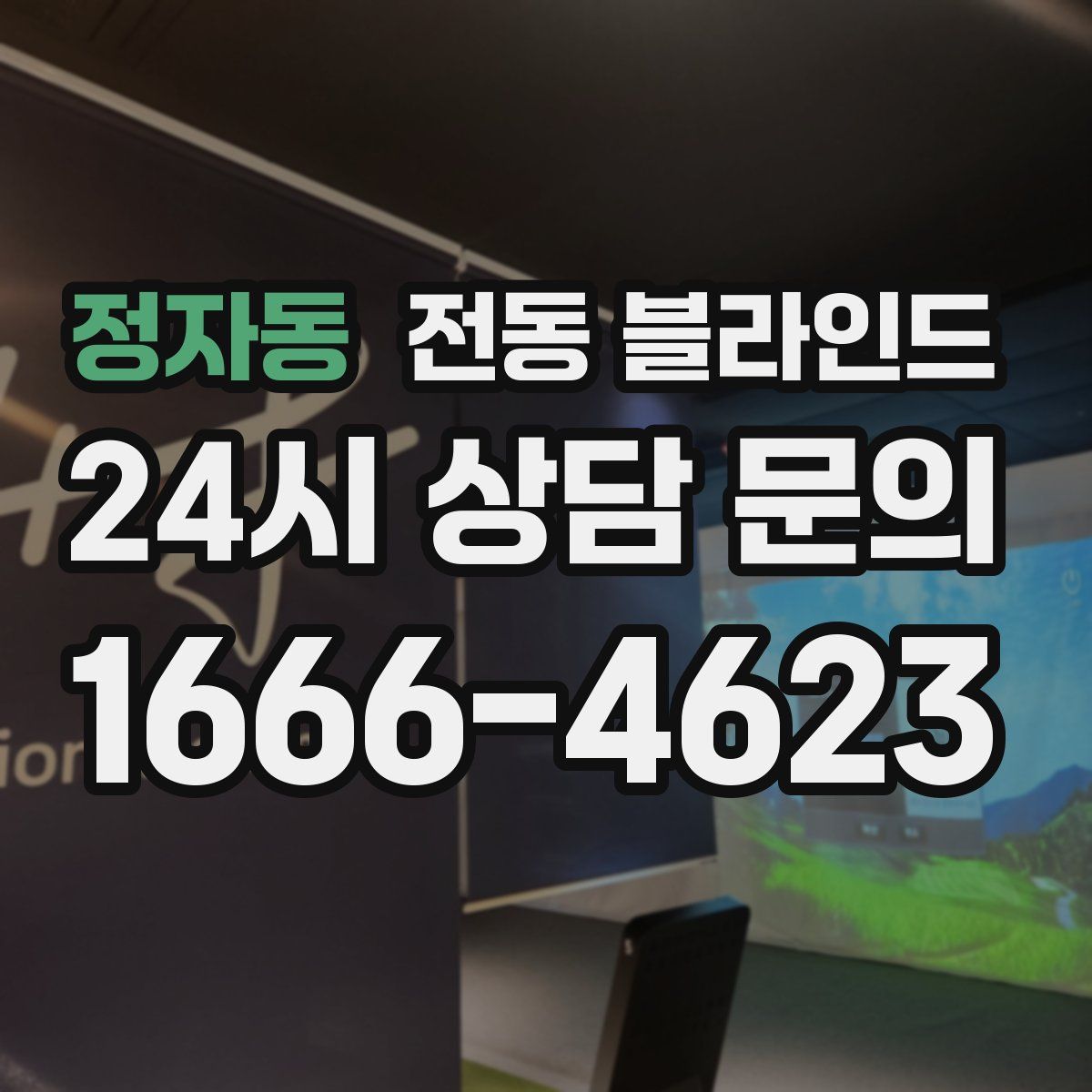정자동 전동 블라인드