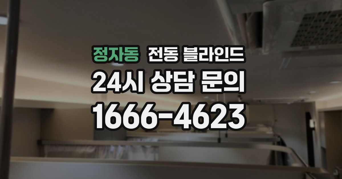 정자동 전동 블라인드