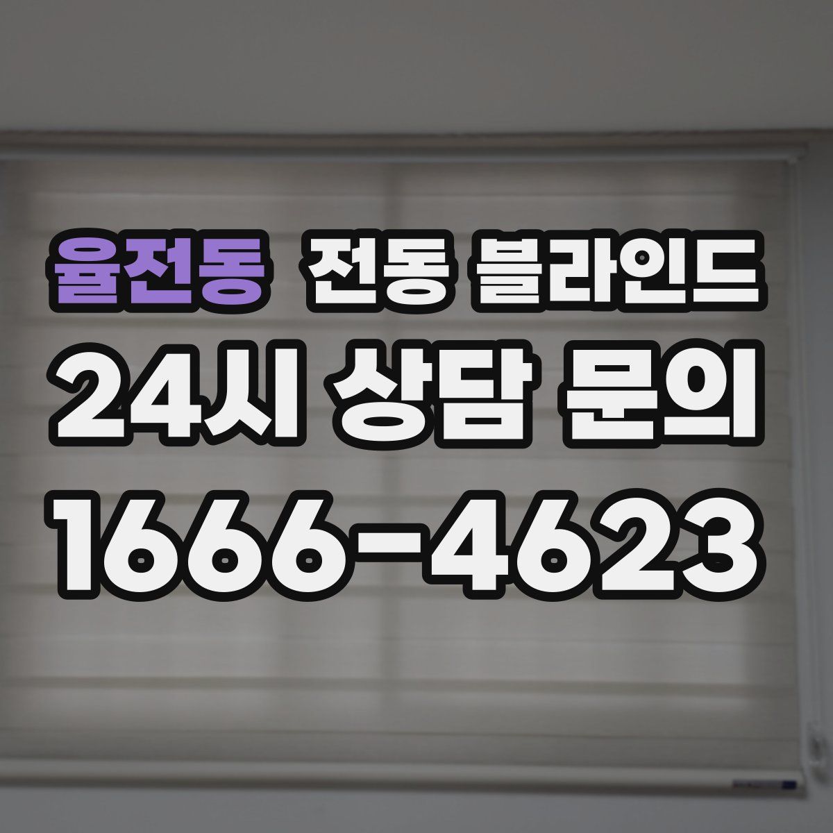 율전동 전동 블라인드