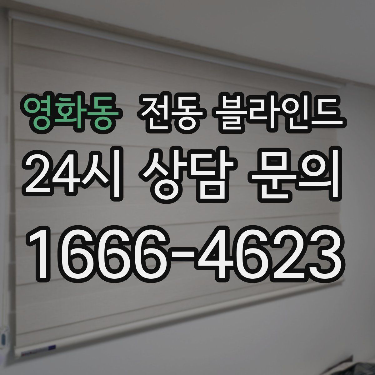 영화동 전동 블라인드