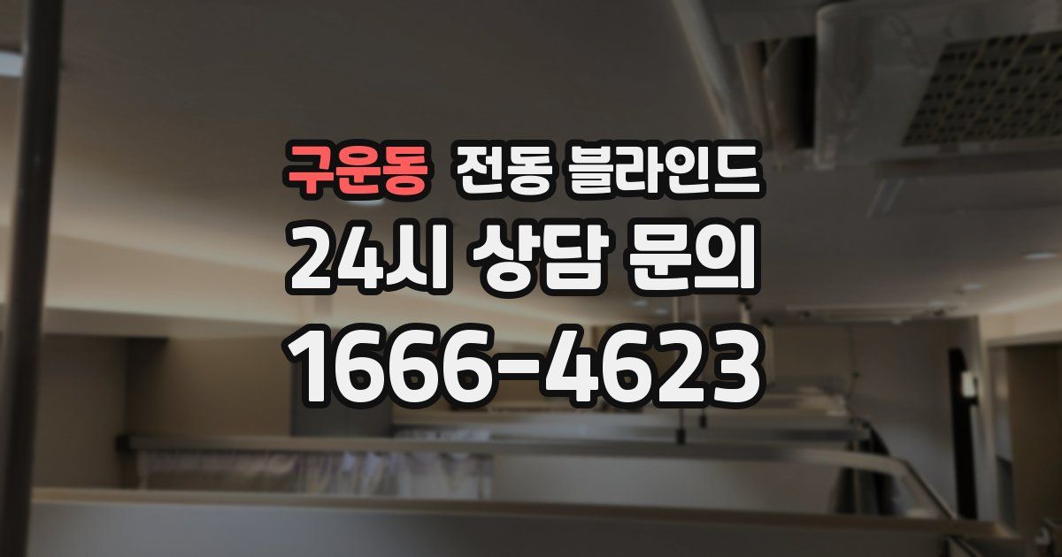 구운동 전동 블라인드