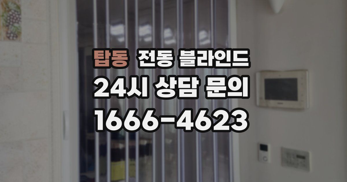 탑동 전동 블라인드