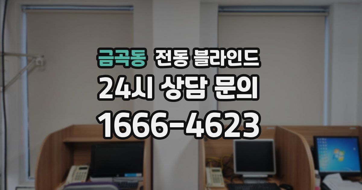 금곡동 전동 블라인드