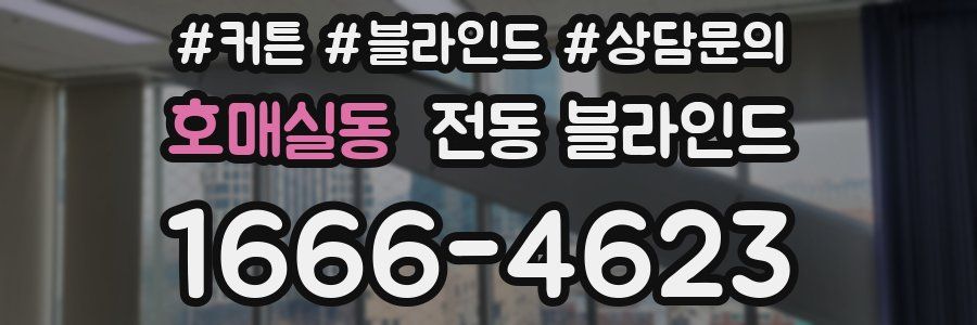 호매실동 전동 블라인드