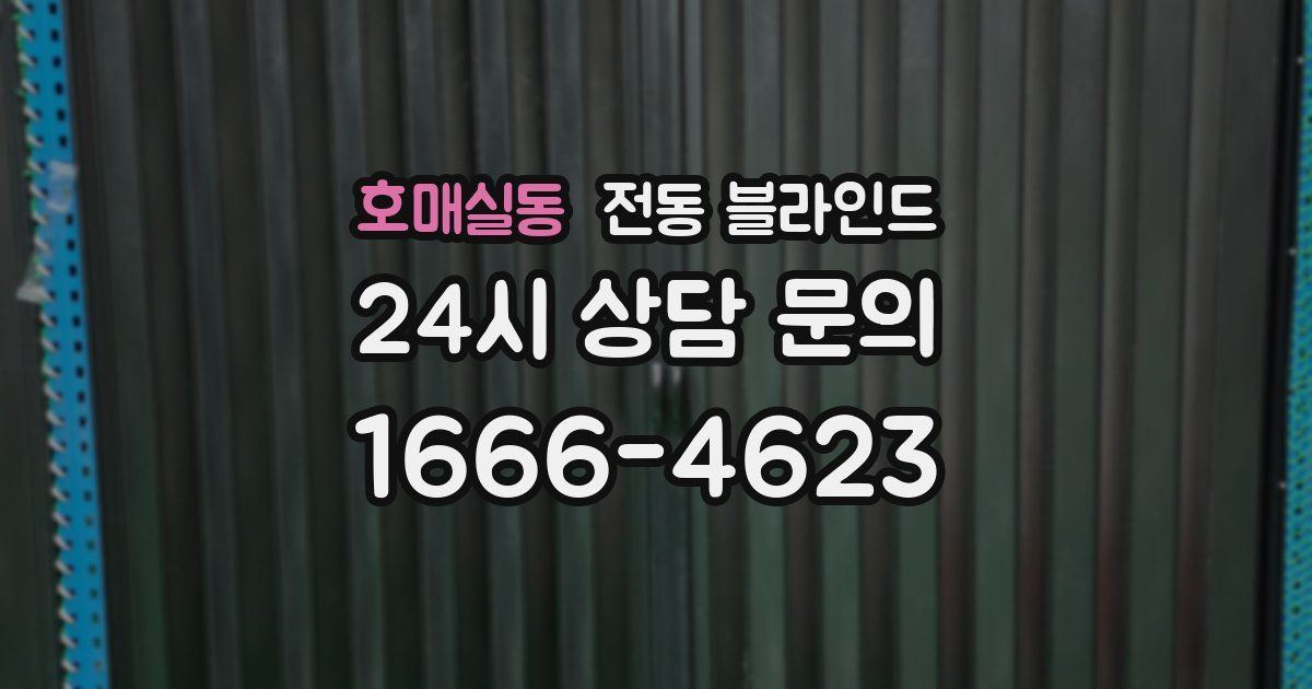 호매실동 전동 블라인드