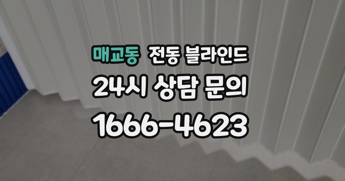 매교동 전동 블라인드